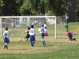 IMG_7293.JPG