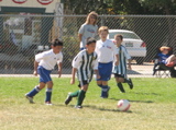 IMG_7317.JPG