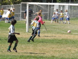 IMG_7319.JPG