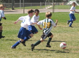 IMG_7323.JPG
