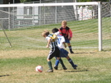 IMG_7325.JPG