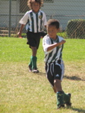 IMG_7114.JPG copy