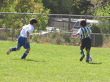 IMG_7115.JPG