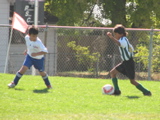 IMG_7116.JPG