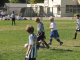 IMG_7122.JPG