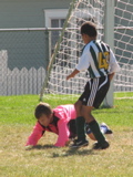 IMG_7129.JPG copy