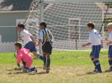 IMG_7130.JPG