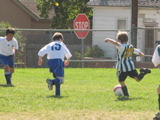 IMG_7135.JPG