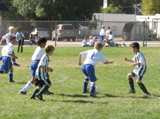 IMG_7136.JPG