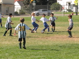 IMG_7137.JPG