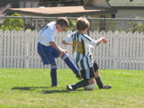 IMG_7149.JPG