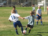 IMG_7161.JPG