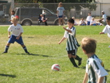 IMG_7162.JPG