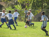 IMG_7167.JPG