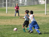 IMG_7203.JPG