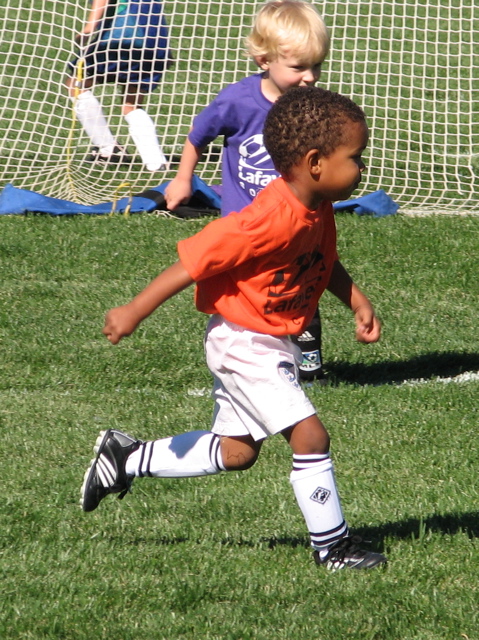 IMG_7529.JPG