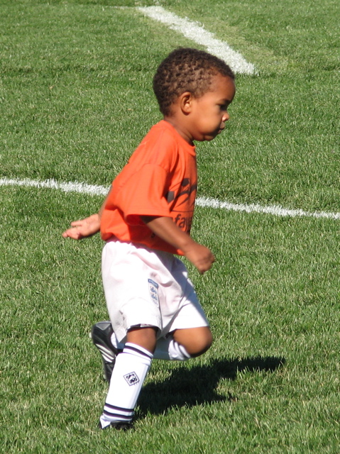 IMG_7531.JPG