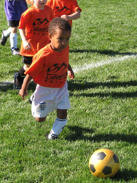 IMG_7544.JPG