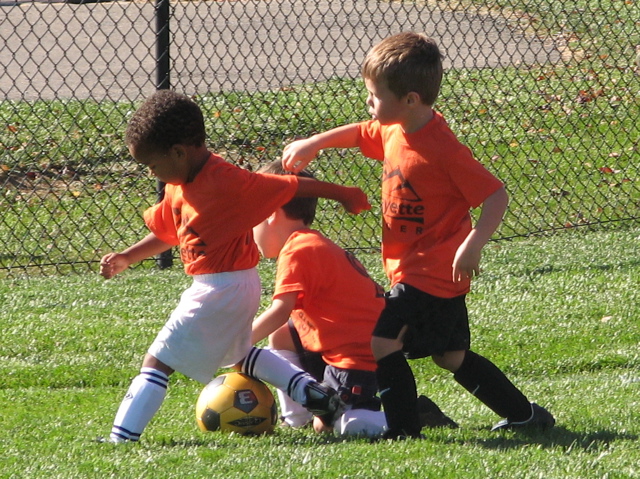 IMG_7552.JPG