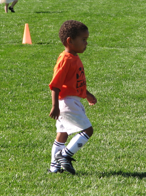 IMG_7609.JPG