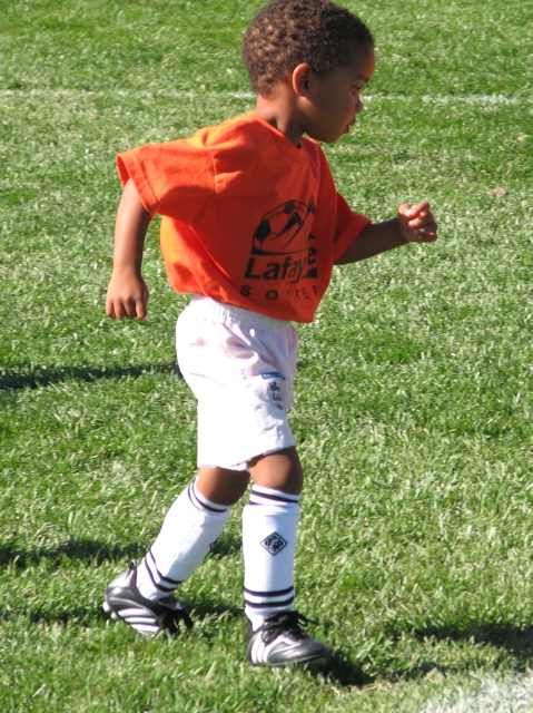 IMG_7519.JPG