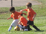 IMG_7552.JPG