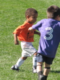 IMG_7596.JPG