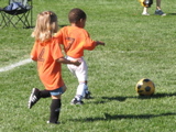 IMG_7604.JPG