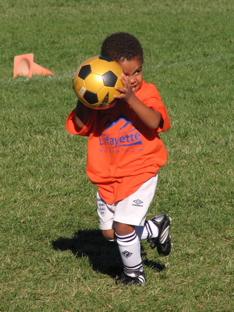 IMG_8358.JPG copy