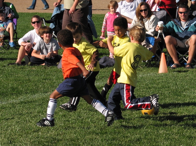IMG_8585.JPG