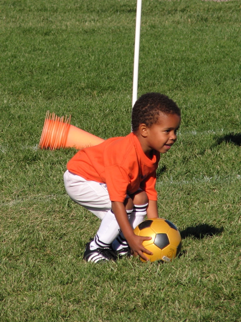 IMG_8380.JPG copy
