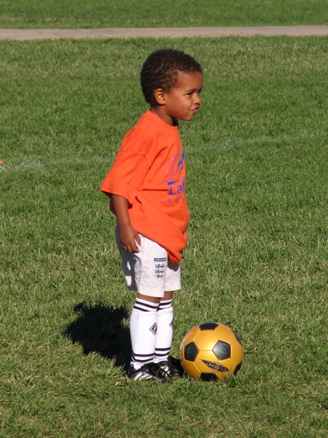 IMG_8383.JPG copy