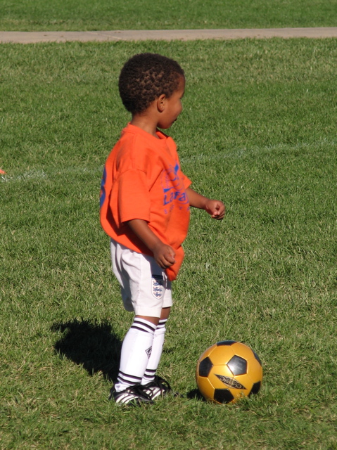 IMG_8388.JPG copy