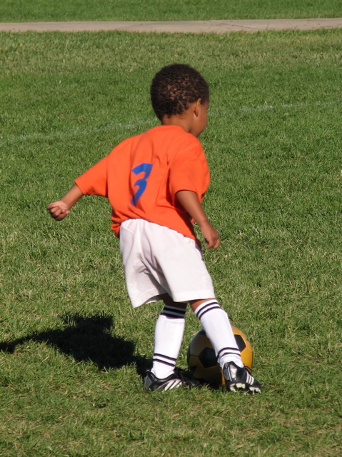 IMG_8391.JPG copy