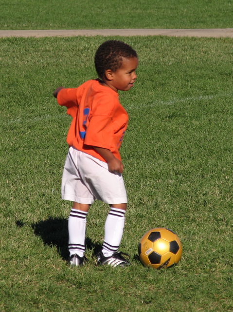 IMG_8392.JPG copy