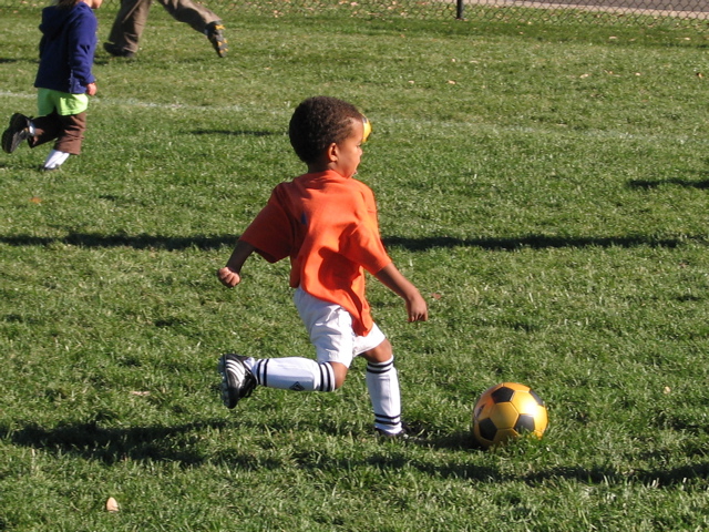 IMG_8340.JPG