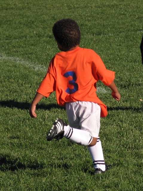 IMG_8446.JPG