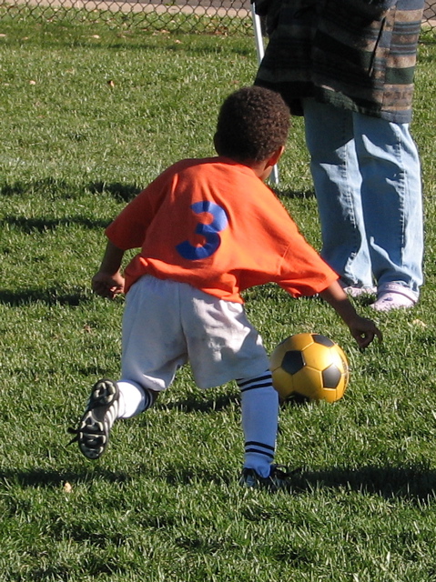 IMG_8342.JPG