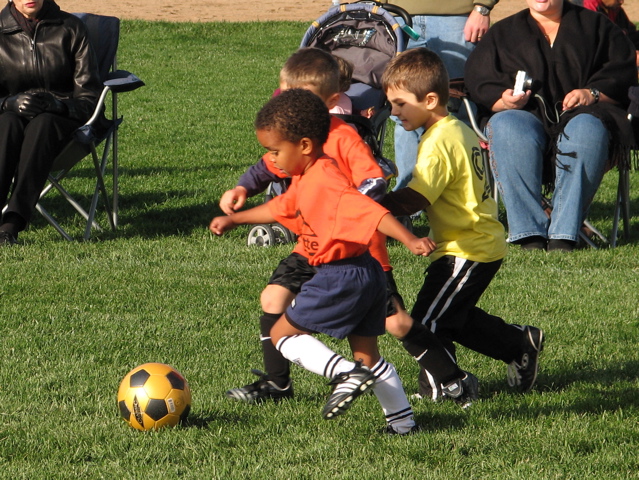 IMG_8483.JPG
