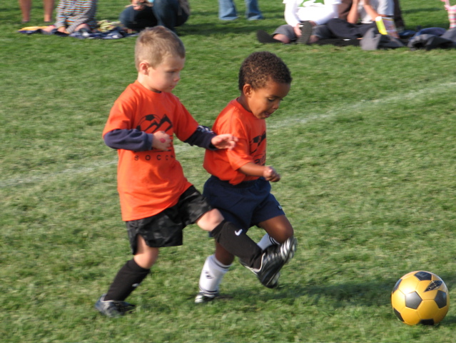 IMG_8486.JPG