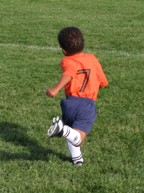 IMG_8487.JPG