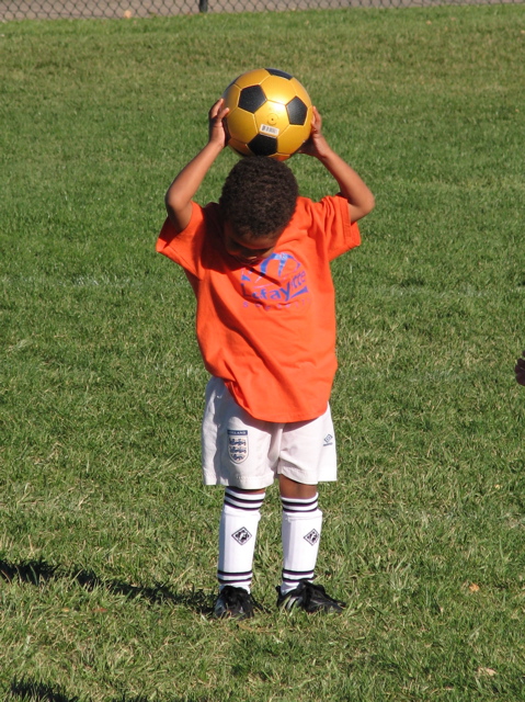 IMG_8349.JPG copy