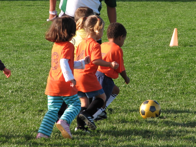 IMG_8515.JPG