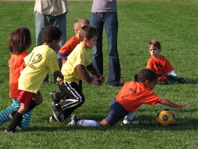 IMG_8517.JPG