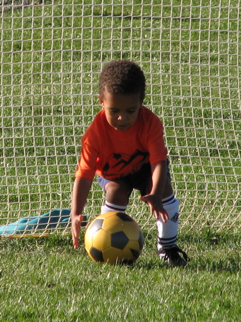 IMG_8530.JPG