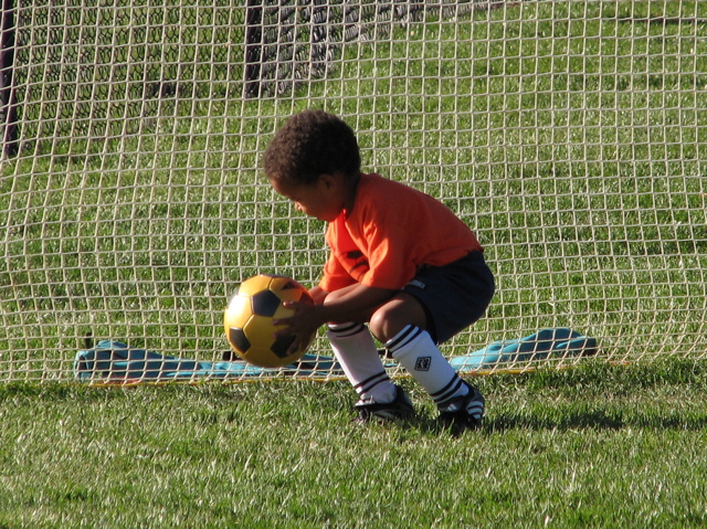 IMG_8533.JPG