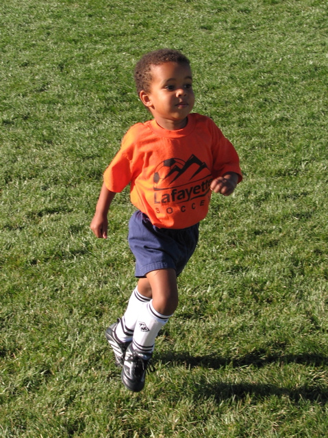 IMG_8539.JPG copy