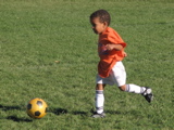 IMG_8367.JPG