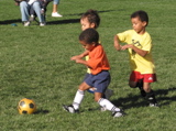 IMG_8567.JPG