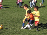IMG_8568.JPG